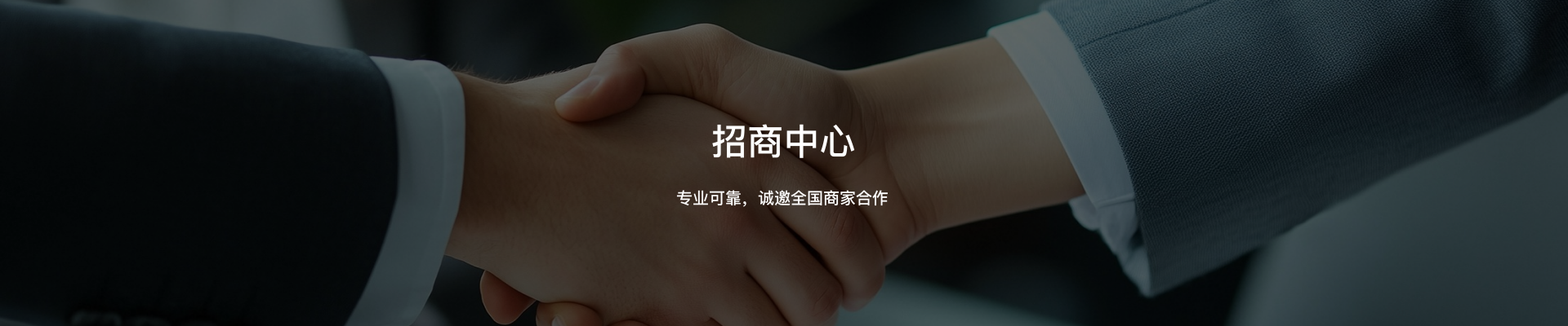 专业可靠，合作共赢